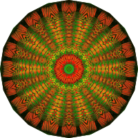 Chaetopoda 16
