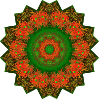 Chaetopoda 15
