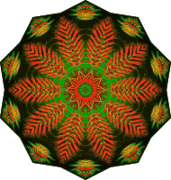 Chaetopoda 17