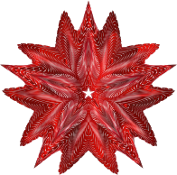 Epic Star 3