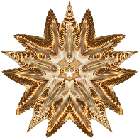 Epic Star 5