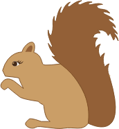 Squirrel Profile