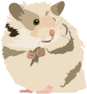 Hamster