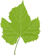 Green Leaf