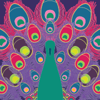 Colorful Peacock Line Art