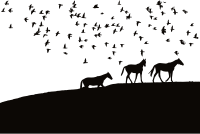 Birds And Horses Silhouette