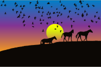 Birds And Horses Silhouette Sunset 2