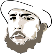 Bearded Man Portrait