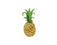 Food pineapple remix