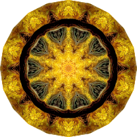 Chelonia 1