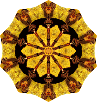 Chelonia 2