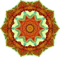 Chelonia 5