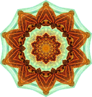 Chelonia 7