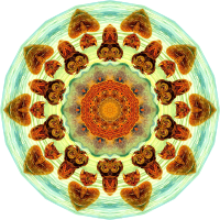 Chelonia 6