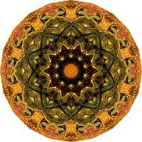 Chelonia 11