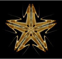 Wicked Geometric 6 Variation 2