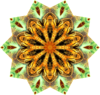 Chelonia 9