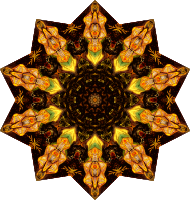 Chelonia 13