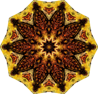 Chelonia 15