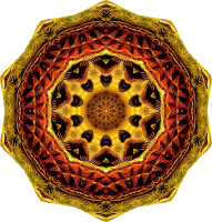 Chelonia 17
