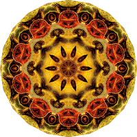 Chelonia 16