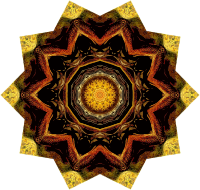 Chelonia 19