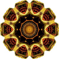 Chelonia 18