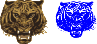 Tiger Tiger burning bright!