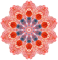 Discomedusae 3