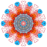 Discomedusae 6