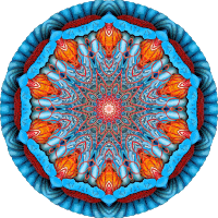 Discomedusae 5