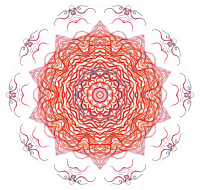 Discomedusae 10