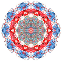 Discomedusae 8