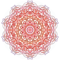Discomedusae 11