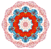 Discomedusae 15