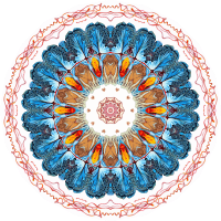 Discomedusae 16