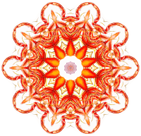 Discomedusae 19