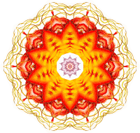 Discomedusae 20
