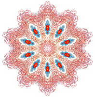 Discomedusae 14