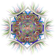Chromatic Diatom