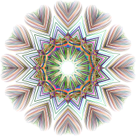 Cardiac Nova