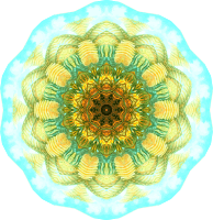 Filicinae 7