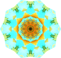Filicinae 10
