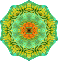 Filicinae 12