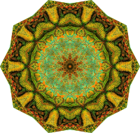 Filicinae 15
