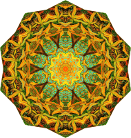 Filicinae 17