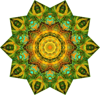 Filicinae 19