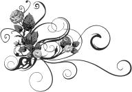 Rose Floral Flourish 2