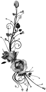 Rose Floral Flourish 15