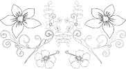 Floral Line Art